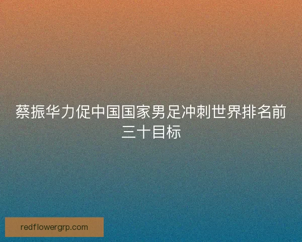 蔡振华力促中国国家男足冲刺世界排名前三十目标 蔡振华力促中国国家男足冲刺世界排名前三十目标
