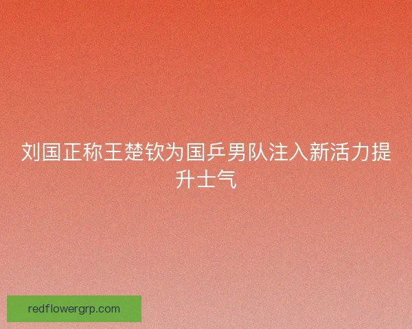 刘国正称王楚钦为国乒男队注入新活力提升士气