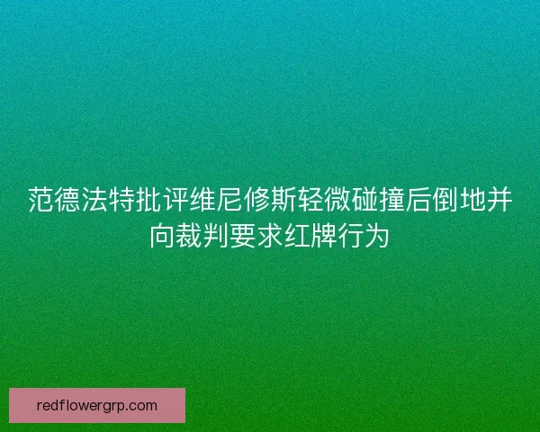 范德法特批评维尼修斯轻微碰撞后倒地并向裁判要求红牌行为