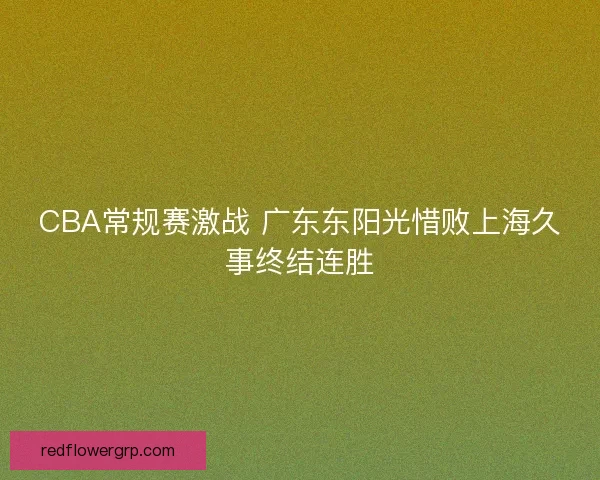 CBA常规赛激战 广东东阳光惜败上海久事终结连胜 CBA常规赛激战 广东东阳光惜败上海久事终结连胜