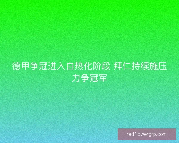 德甲争冠进入白热化阶段 拜仁持续施压力争冠军 德甲争冠进入白热化阶段 拜仁持续施压力争冠军